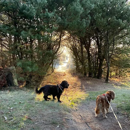 Spacious Family Friendly House By Ringkobing Fjord Skjern